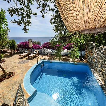 Beyaz Yunus - Adult Only Oludeniz