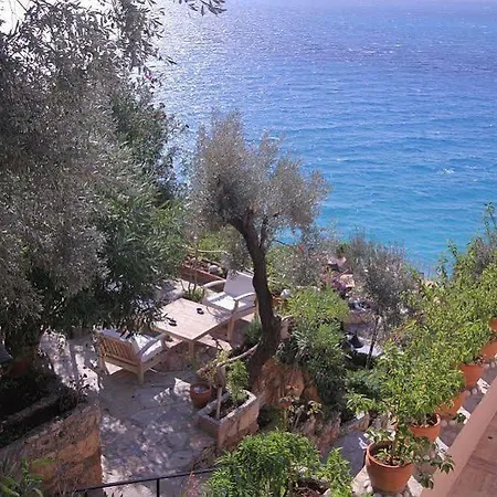 Beyaz Yunus - Adult Only 3*
