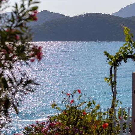 Otel Beyaz Yunus - Adult Only Ölüdeniz
