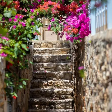 Beyaz Yunus - Adult Only 3* Oludeniz