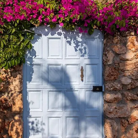 Beyaz Yunus - Adult Only 3*