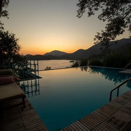 Beyaz Yunus - Adult Only